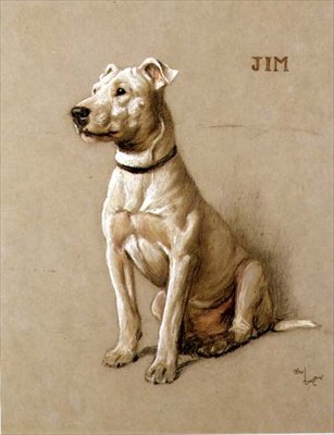 Jim, een Bull Terrier door Cecil Charles Windsor Aldin