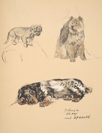 Pekinees, Chow en Spaniel, 1930, Illustraties uit zijn Schetsboek gebruikt voor Just Among Friends, Aldin, Cecil Charles Windsor (1870-1935), later uitgegeven door Eyre and Spottiswoode Limited, 1934 door Cecil Charles Windsor Aldin