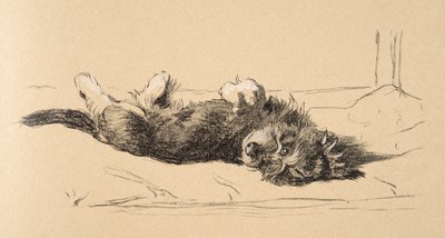 Ruwe Dashond Puppy (detail), 1930, Illustraties uit zijn Schetsboek gebruikt voor Just Among Friends, Aldin, Cecil Charles Windsor (1870-1935), later uitgegeven door Eyre and Spottiswoode Limited, 1934 door Cecil Charles Windsor Aldin