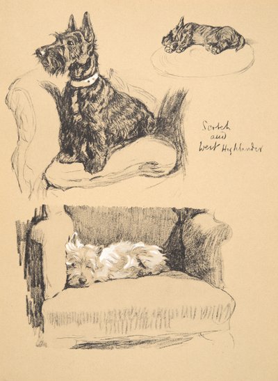 Schot en West Highlander, 1930, Illustraties uit zijn Schetsboek gebruikt voor Just Among Friends, Aldin, Cecil Charles Windsor (1870-1935), later uitgegeven door Eyre and Spottiswoode Limited, 1934 door Cecil Charles Windsor Aldin