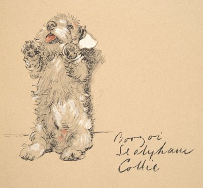 Sealyham, 1930, Illustraties uit zijn schetsboek gebruikt voor Just Among Friends, later gepubliceerd door Eyre en Spottiswoode Limited, 1934 door Cecil Charles Windsor Aldin
