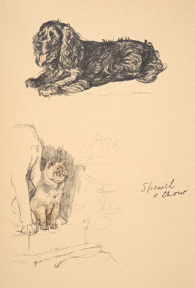 Spaniel en Chow, 1930, Illustraties uit zijn Schetsboek gebruikt voor Just Among Friends, Aldin, Cecil Charles Windsor (1870-1935), later uitgegeven door Eyre and Spottiswoode Limited, 1934 door Cecil Charles Windsor Aldin