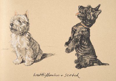 West Highlander en Scotch, 1930, Illustraties uit zijn Schetsboek gebruikt voor 