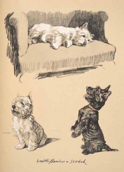 West Highlanders en Schotten, 1930, Illustraties uit zijn schetsboek gebruikt voor Just Among Friends, later gepubliceerd door Eyre en Spottiswoode Limited, 1934 door Cecil Charles Windsor Aldin