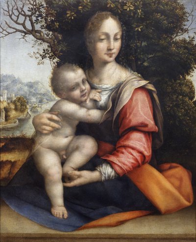 Madonna en Kind (Onze Lieve Vrouw van de Boom) door Cesare da Sesto