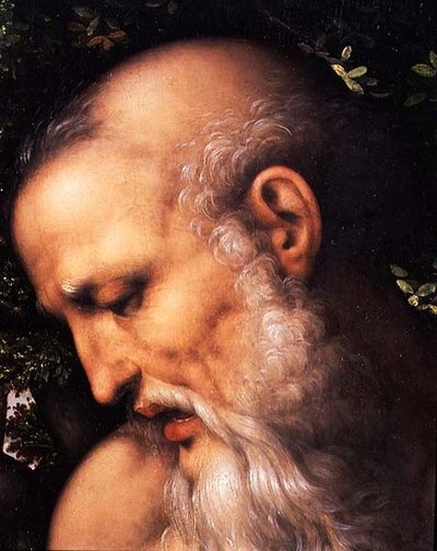 St. Jerome, detail van het hoofd van de heilige (detail) door Cesare da Sesto