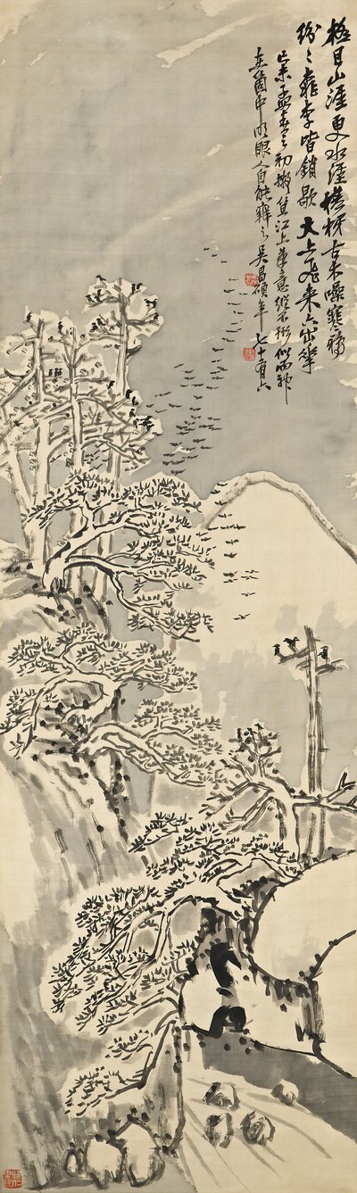 Besneeuwde winter door Changshuo Wu