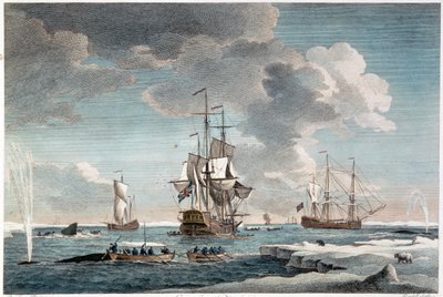 Groenlandse visserij, gegraveerd door John Boydell (1719-1804) 1754 (kleurengravure) door Charles (after) Brooking