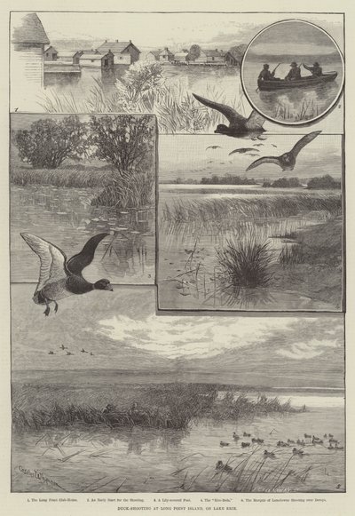 Eendenschieten op Long Point Island, aan Lake Erie (gravure) door Charles (after) Whymper