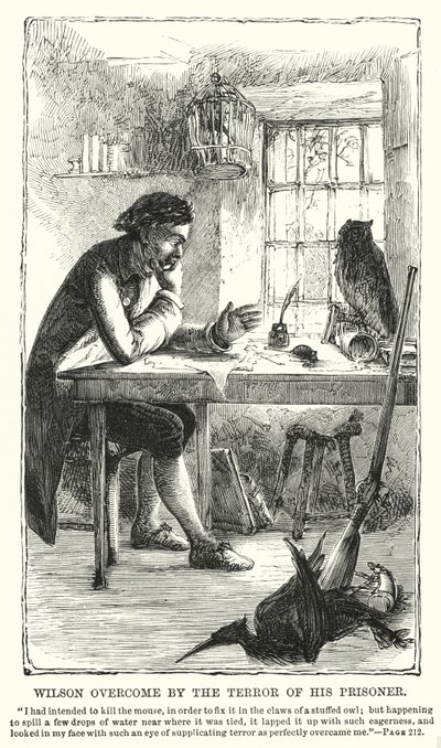 Wilson overweldigd door de angst voor zijn gevangene door Charles Altamont Doyle