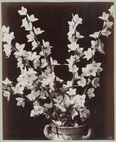 Bloemstudie met Keulse pot door Charles Aubry (manner of)