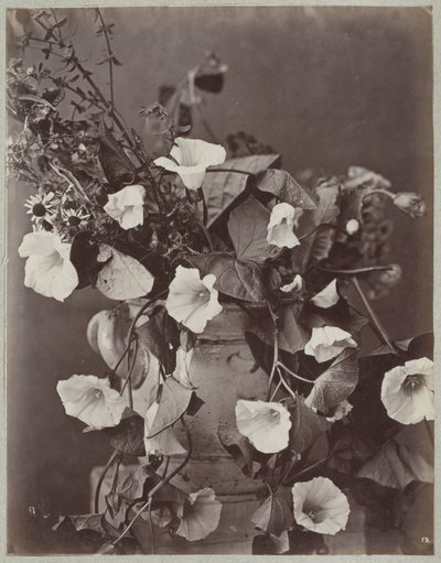 Bloemstudie met Keulse pot door Charles Aubry (manner of)