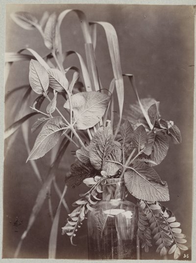 Bloemstudie met glazen fles door Charles Aubry (manner of)
