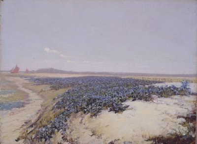 Met bloemen bedekte duinen (olieverf op doek) door Charles Augustus Lasar