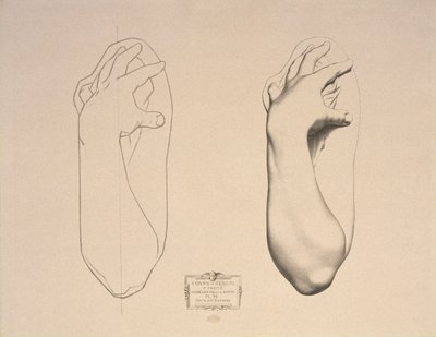 Gebogen Arm van een Vrouw, plaat 22 uit Cours de Dessin Volume I, Modeles dapres la bosse, c.1868 door Charles Bargue
