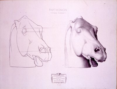 Paardenhoofd van het westelijke fronton van het Parthenon, plaat 47 uit Cours de Dessin, ca. 1898 door Charles Bargue