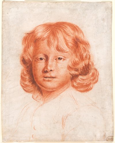 Portret van een jonge jongen door Charles Beale