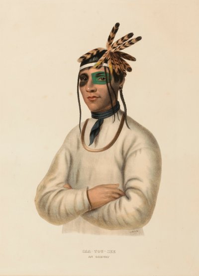 CAA-TOU-SEE. EEN OJIBWAY, uit de Geschiedenis van de Indianenstammen van Noord-Amerika door Charles Bird King