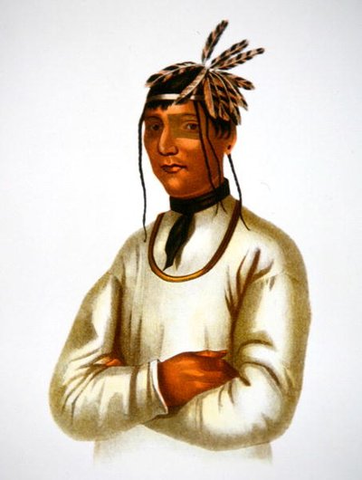 Caatousee van de Chippewa-stam door Charles Bird King