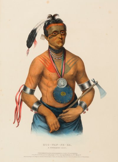 HOO-WAN-NE-KA, A WINNEBAGO CHIEF, uit History of the Indian Tribes of North America. door Charles Bird King