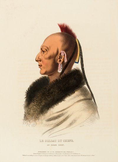LE SOLDAT DU CHENE, AN OSAGE CHIEF, uit History of the Indian Tribes of North America. door Charles Bird King