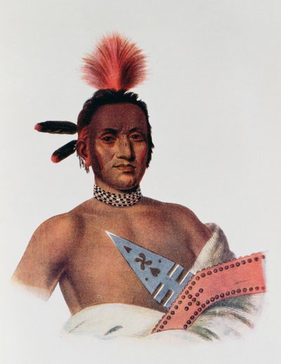 Moa-Na-Hon-Ga of 