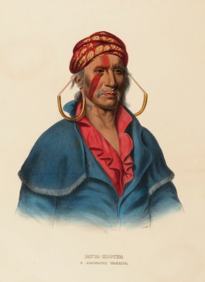 PAYTA-KOOTHA. A SHAWANOE WARRIOR, uit History of the Indian Tribes of North America. door Charles Bird King
