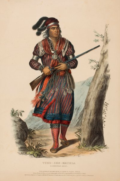 TUKO-SEE-MATHLA. A SEMINOLE CHIEF, uit History of the Indian Tribes of North America. door Charles Bird King