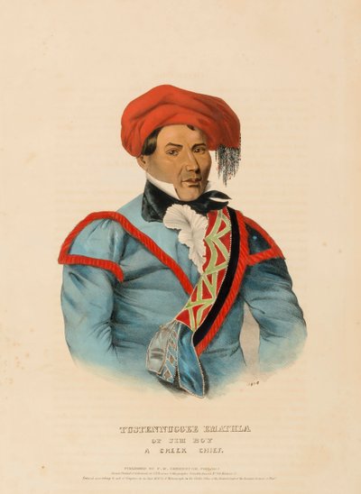 TUSTENNUGGEE EMATHLA, uit Geschiedenis van de Indianenstammen van Noord-Amerika door Charles Bird King