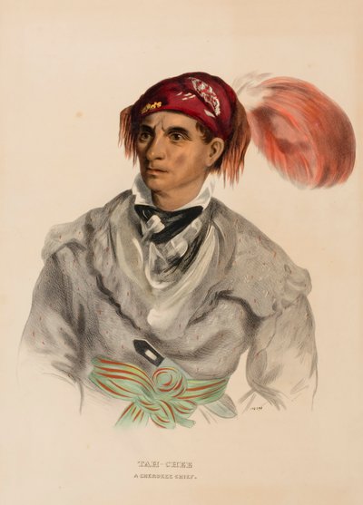 Tah-Chee (Nederlands), Een Cherokee opperhoofd, uit Geschiedenis van de Indiaanse Stammen van Noord-Amerika door Charles Bird King