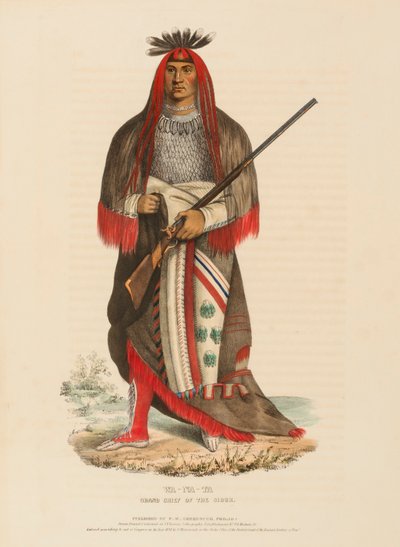 WA-NA-TA. GRAND CHIEF OF THE SIOUX, uit History of the Indian Tribes of North America door Charles Bird King