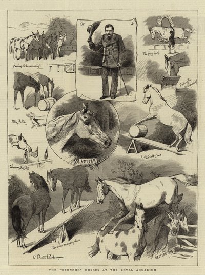 De Broncho Paarden in het Royal Aquarium door Charles Burton