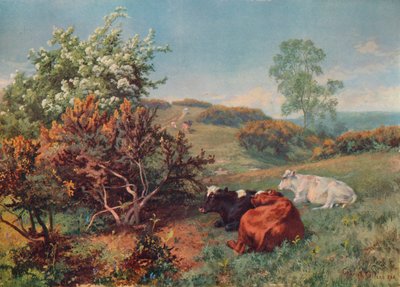 Landschap met vee in de Nower, Dorking, ca. 1899 door Charles Collins