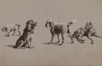 Studies van honden door Charles Cooper Henderson