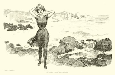 Illustratie voor De Sociale Ladder door Charles Dana Gibson
