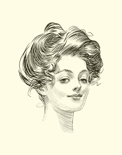 Illustratie voor De Sociale Ladder door Charles Dana Gibson