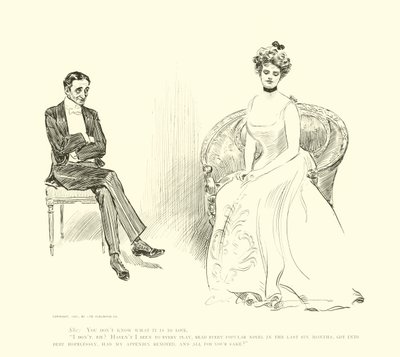 Illustratie voor De Sociale Ladder door Charles Dana Gibson
