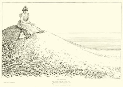 Illustratie voor De Sociale Ladder door Charles Dana Gibson