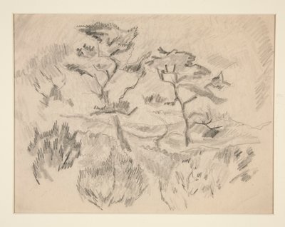 Landschap (Bermuda of Provincetown?) door Charles Demuth