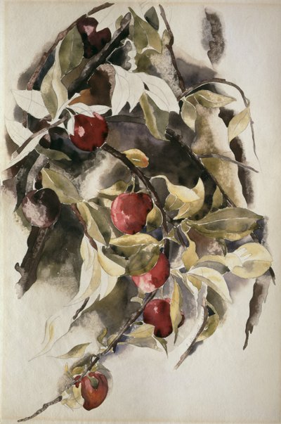 Pruimen, 1925 door Charles Demuth