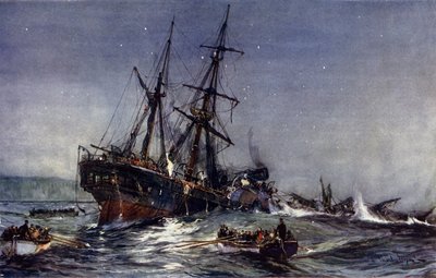 Het wrak van de Birkenhead door Charles Edward Dixon