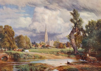 Salisbury Kathedraal door Charles Edward Johnson