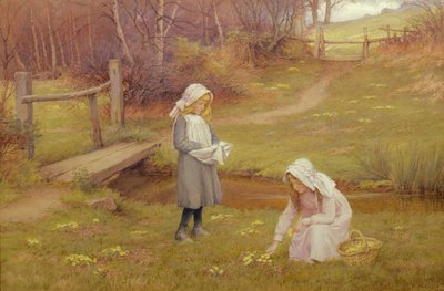 De Sleutelbloem Verzamelaars door Charles Edward Wilson