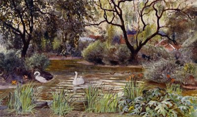 Londense Dierentuin: Drie Eilanden Vijver door Charles Edwin Flower
