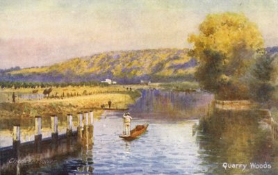 Rivier de Theems: Quarry Woods door Charles Edwin Flower