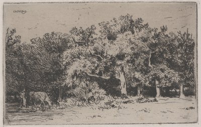 Een Hoek van het Bos van Fontainebleau door Charles Emile Jacque