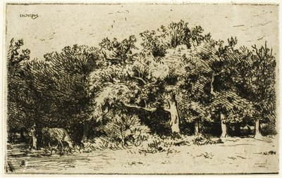 Een Deel van het Bos van Fontainebleau door Charles Emile Jacque