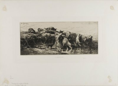Koeien Drinken door Charles Emile Jacque