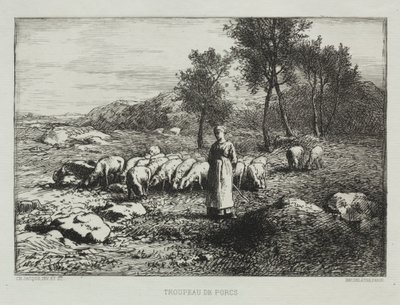 Kudde Varkens door Charles Emile Jacque