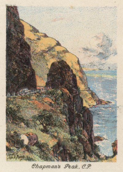 Zuid-Afrika: Chapman